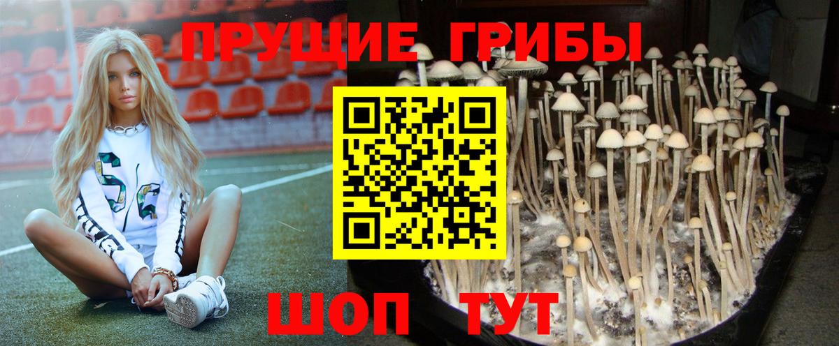 Галлюциногенные грибы Magic Shrooms  Вход с VPN  Усинск 