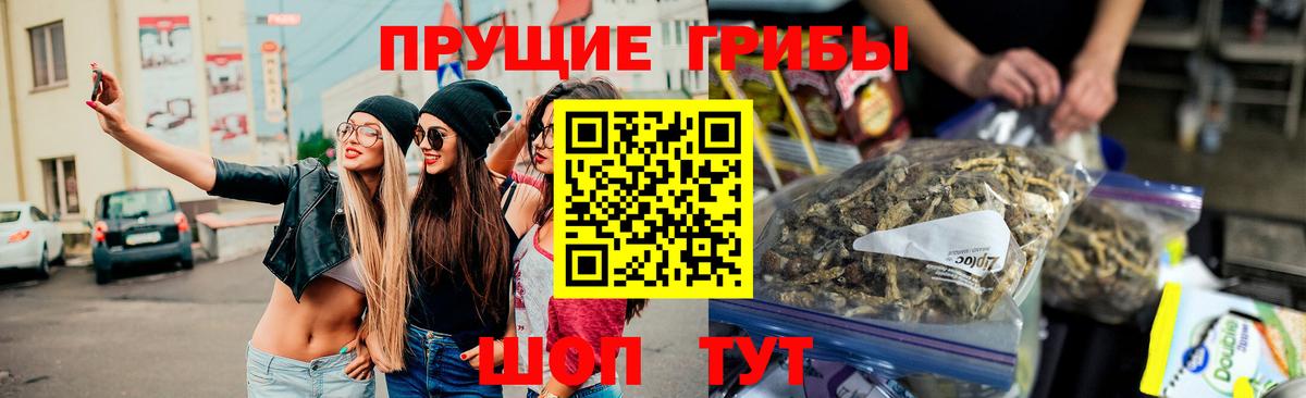 Псилоцибиновые грибы Psilocybine cubensis Усинск